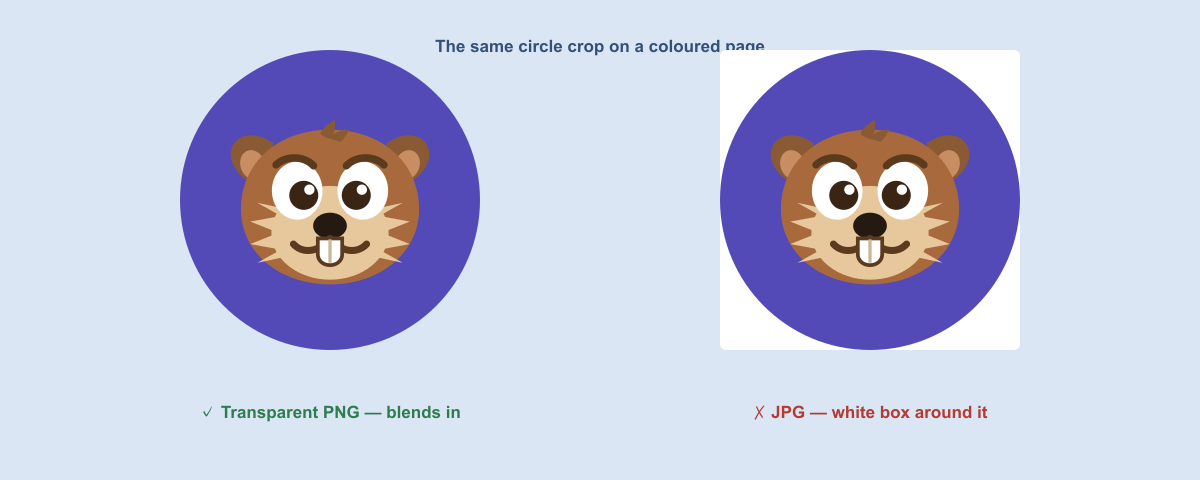 A circle crop saved as a transparent PNG next to the same crop saved as a JPG with white corners